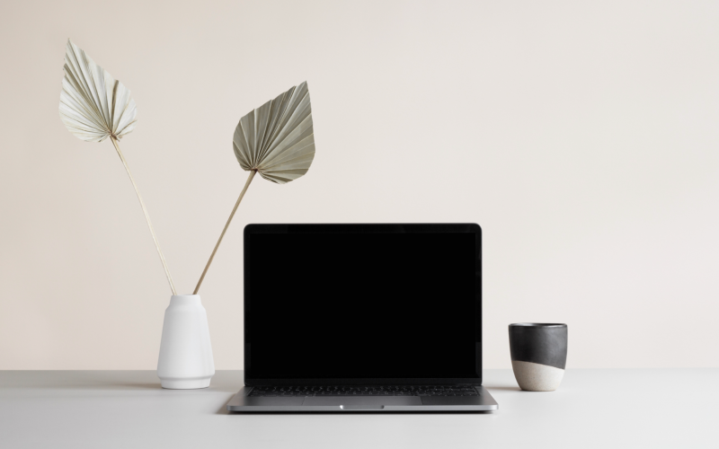 384564212_1559493288125600_4093412136744066604_n